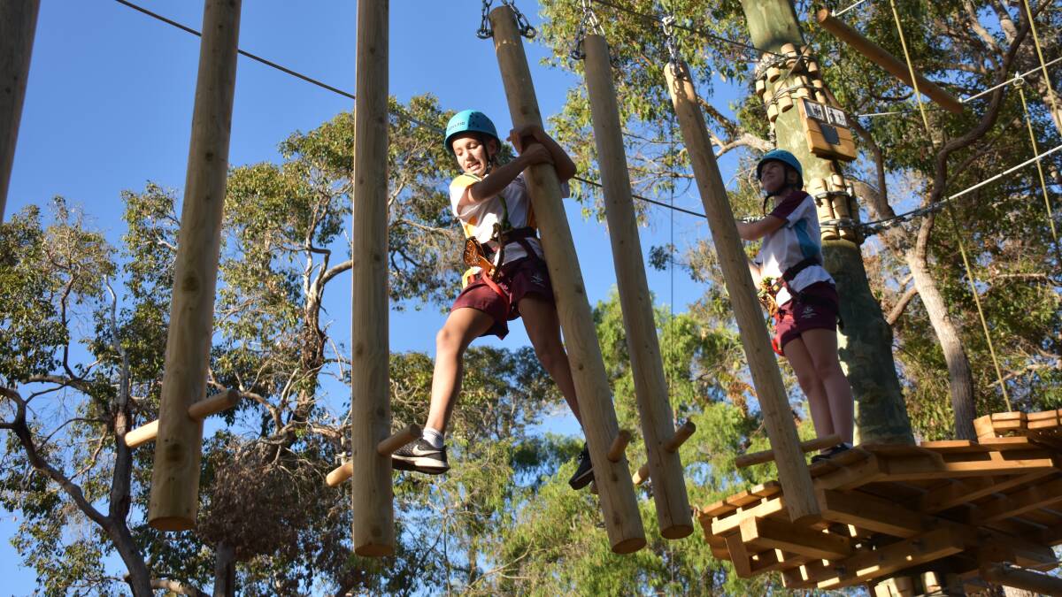 Next Level Monkey Business | Road testing the high ropes and zip line ...