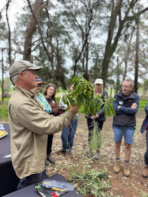 Rick Ensley to will teach participants how to successfully identify and control some of the most invasive garden species. Picture by Trevor Paddenburg. 
