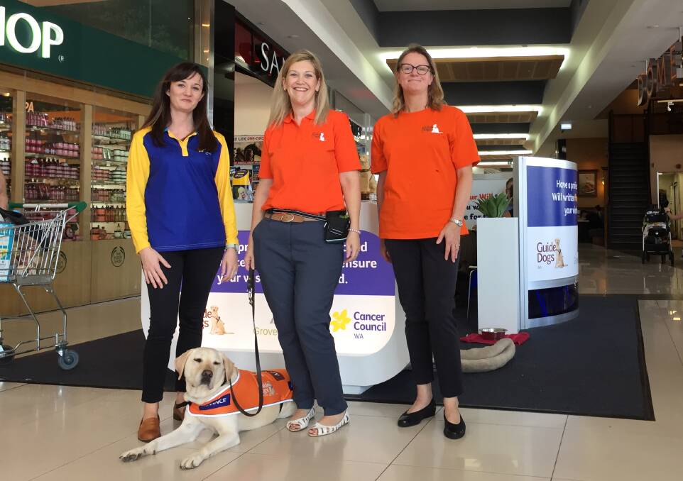Colleen Mangan Carol Morfitt and Kaye McIntyre. The Cancer Council WA and Guide Dogs WA are partnering with a Bunbury law firm to help people support charities through their Wills. 
