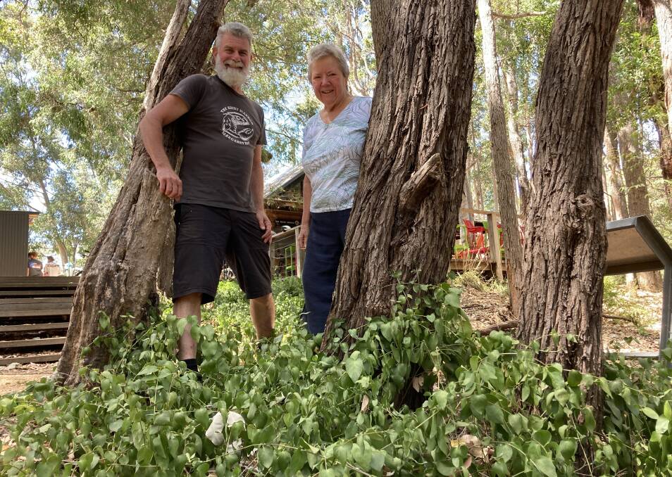 Friends of Barrett St Reserve's Maureen Munro and Hairy Marron owner Paul Iles are determined to remove weeds and replant natives in the area along the banks of the river. Picture by Trevor Paddenburg. 